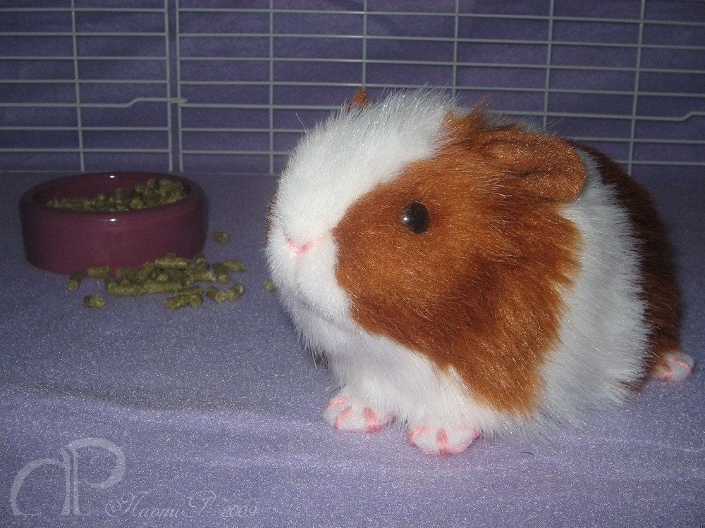 Little Guinea Pig Plush - Red and White