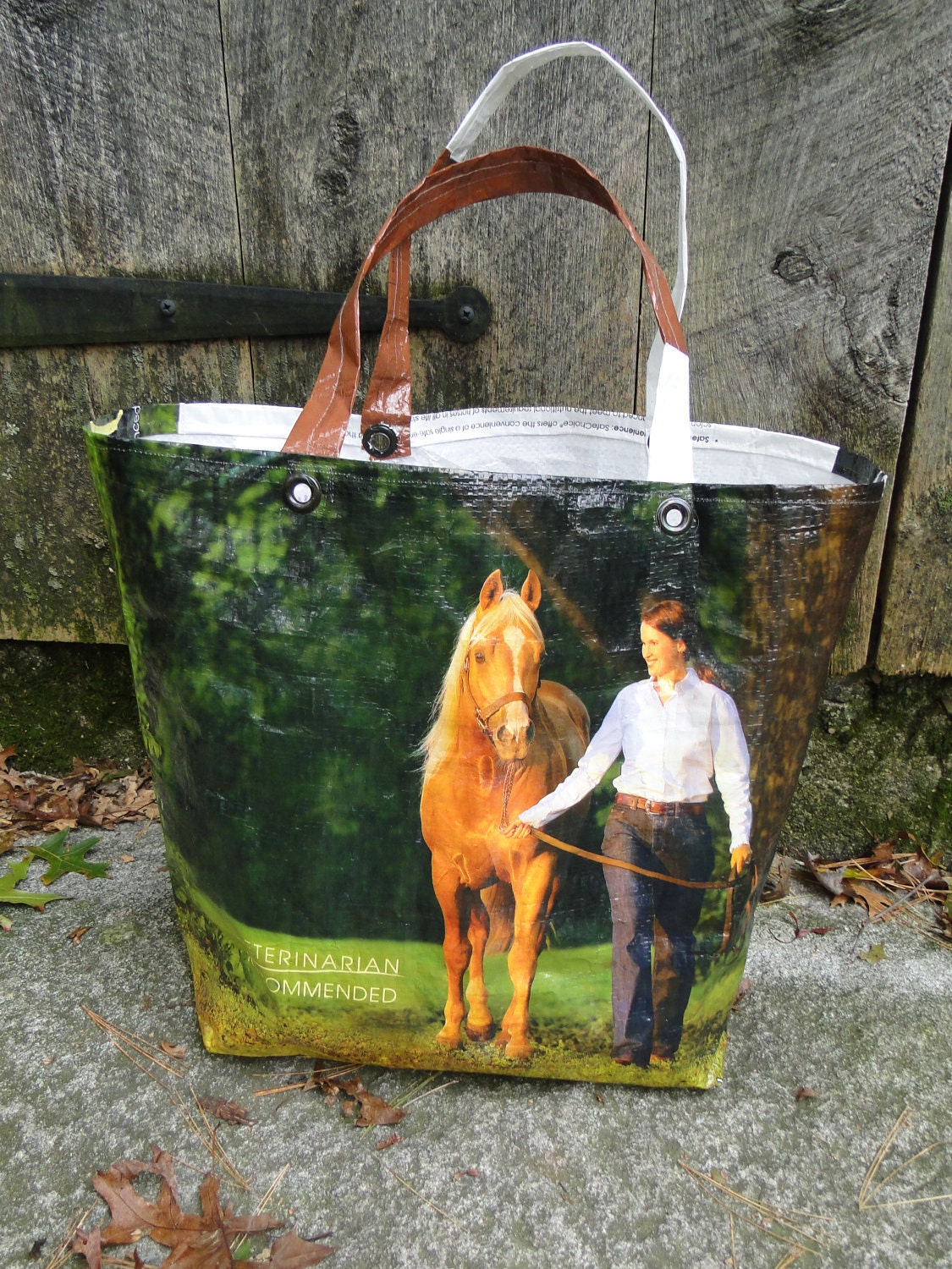 Recycled Horse Food Market Bag Tote Purse