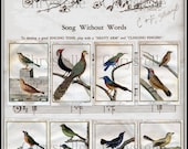 Digital Collage Sheet Vintage Birds  Song Without Words