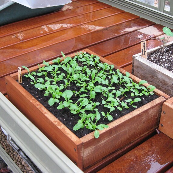 Planter Flat Wooden Seed Starting Tray Old by andrewsreclaimed