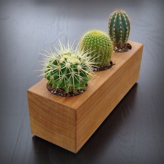 Modern Minimalist Succulent Planter in Reclaimed Cedar Wood