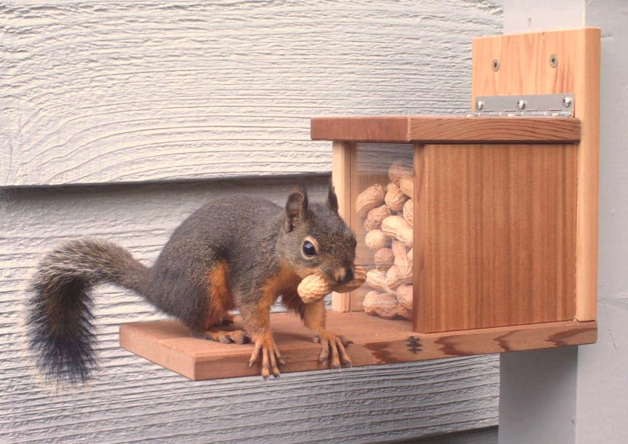 Squirrel Feeder Snack Shack, Reclaimed Wood