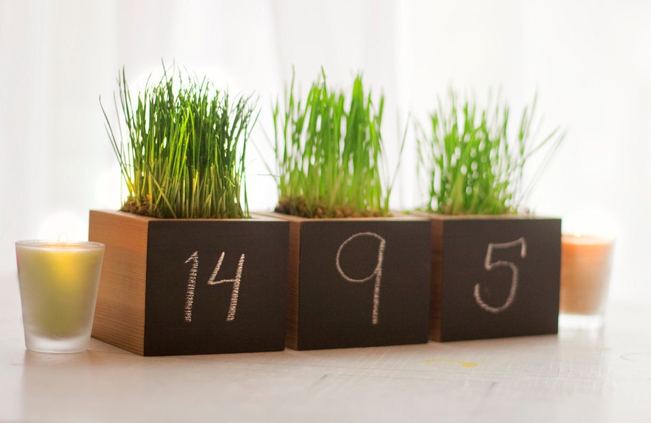 Wheat Grass Planter Table Number for Weddings and Events in Clear Recycled Cedar