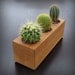 Modern Minimalist Succulent Planter in Reclaimed Cedar Wood