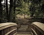 the Path - romantic landscape, crossing the bridge, in the park, duke gardens durham, 8x10 Fine Art Print