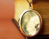 Photo locket photo pendant art locket Dandelion photography locket avocado green - Fly Away - Fine Art pendant Necklace - Grande Edition