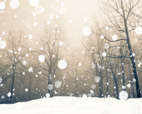 30% OFF Nature photography, snowy landscape, winter photography, bare trees, woodland forest, neutrals, snow flakes, rustic decor, nougat