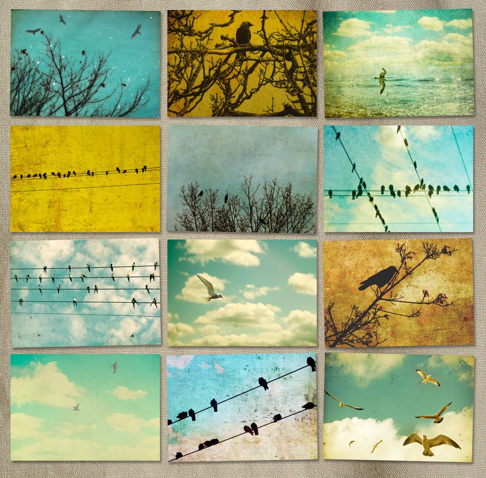 30% OFF SALE - Bird photography, office gift,  bird on wire crows  trees Set of 12 8x10 prints