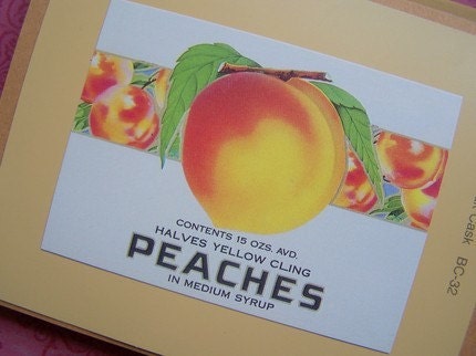 Handmade Notecards Set Rustic Peaches by sweetlibertyprims on etsy