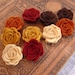 Wool Felt Flowers - NEW Mini Autumn Posies - The Original Wool Felt Posies