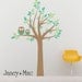 Kids Wall Decal Tree with Owls - Modern Children's Bedroom Nursery - Vinyl Wall Art Room Decor - CT112 - G