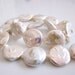 1/2 STRAND---Amazing, Genuine Creamy White Freshwater Flameball Large Coin Pearls