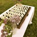 Printers Drawer Display Escort Card Holder