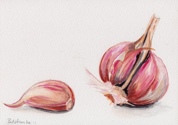Fresh Garlic Cloves ORIGINAL watercolor painting by Redstreake