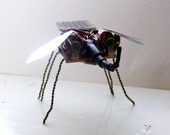 Gonzo the flapping solar powered robot