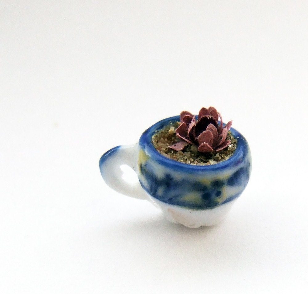 teacup of miniature escheverias in 12th scale
