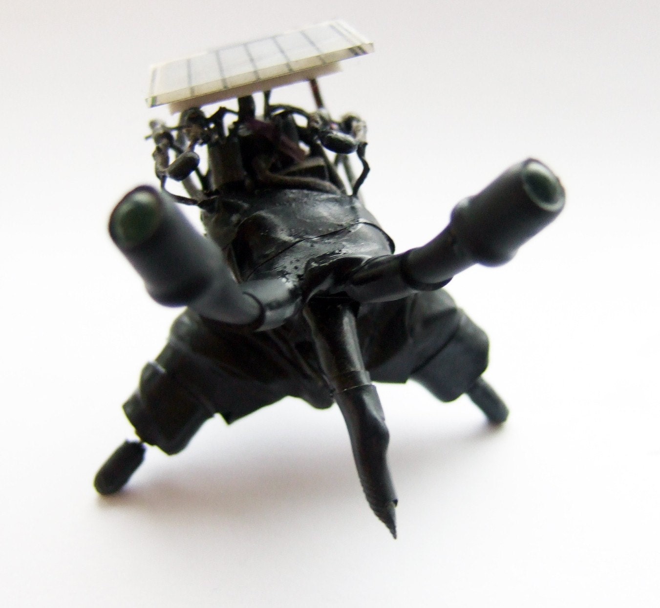 Nigel the solar powered goth bugbut