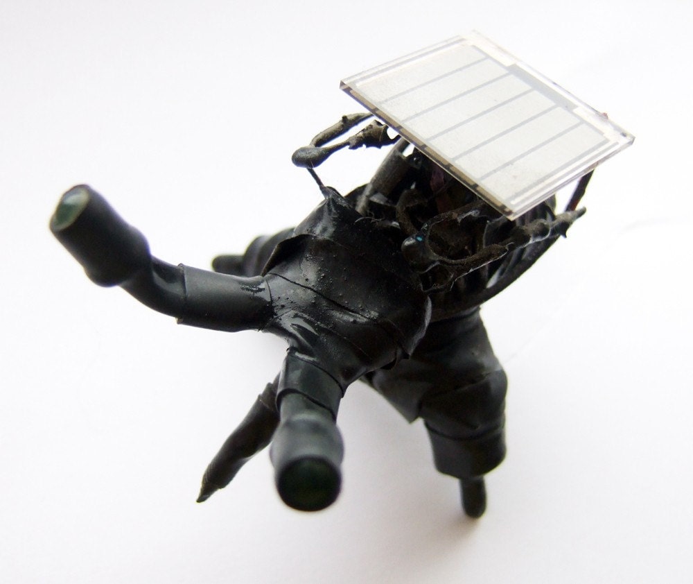 Nigel the solar powered goth bugbut