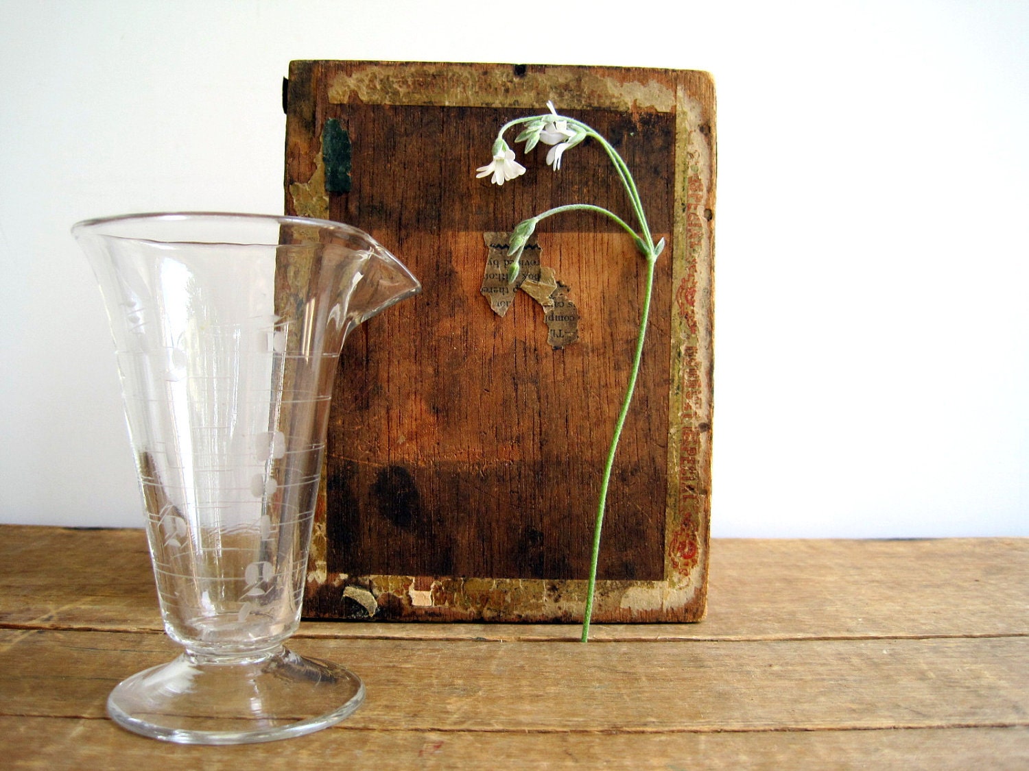 Antique Apothecary Lab Beaker / Vintage Labware Industrial Home