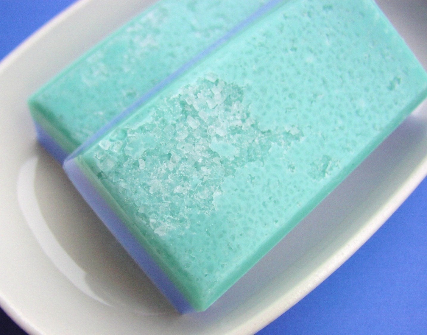 Patchouli Park Salt Bar Soap - All Natural Glycerin - LAST ONE