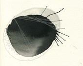Original Abstract 11