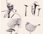 4 Printed Cards 'Alice in Wonderland' series
