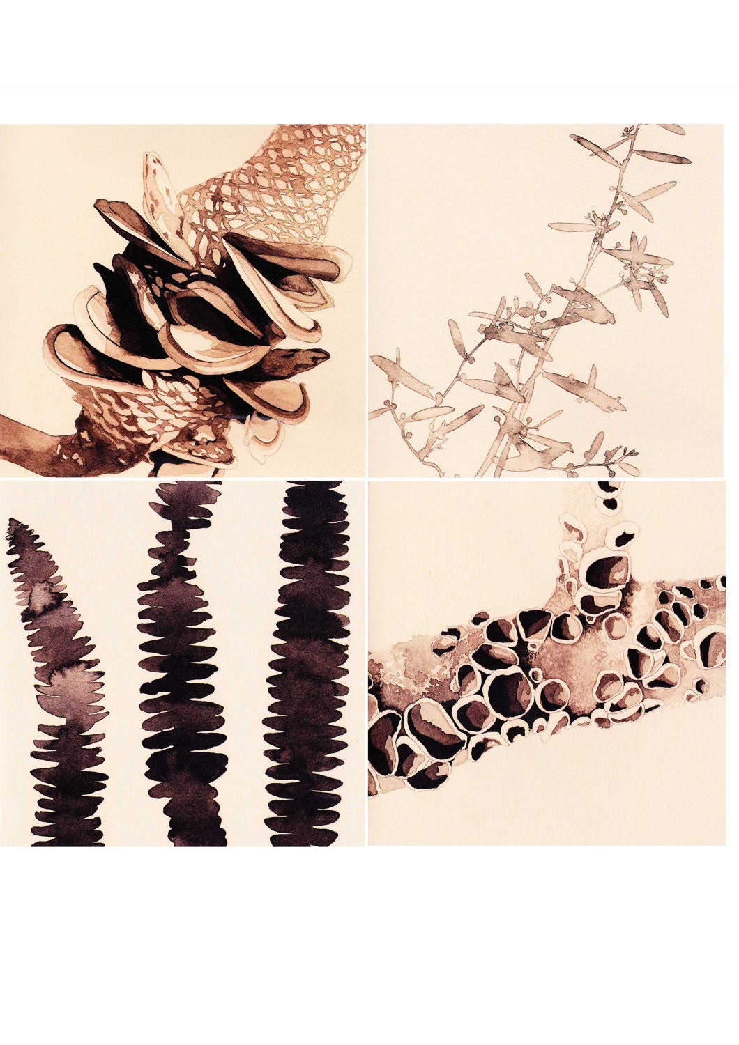 4 Printed Cards 'Plant' series