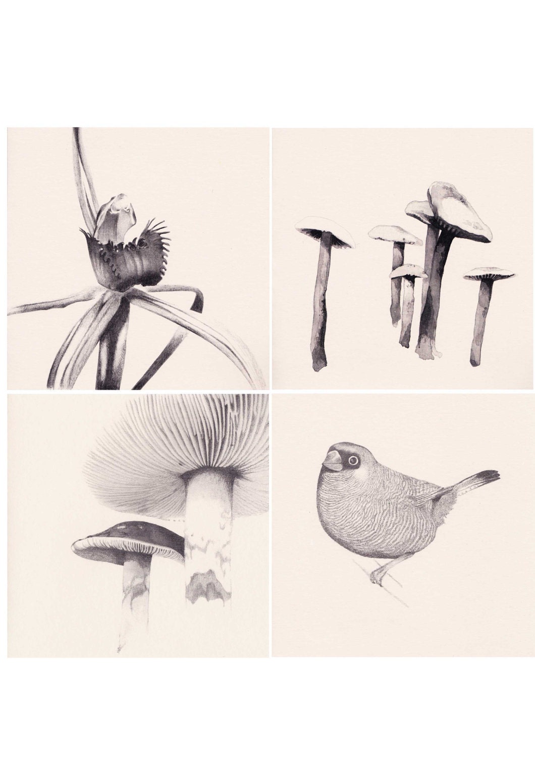 4 Printed Cards 'Alice in Wonderland' series