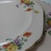 Vintage Shell Pink Ware Pair of Floral Plates