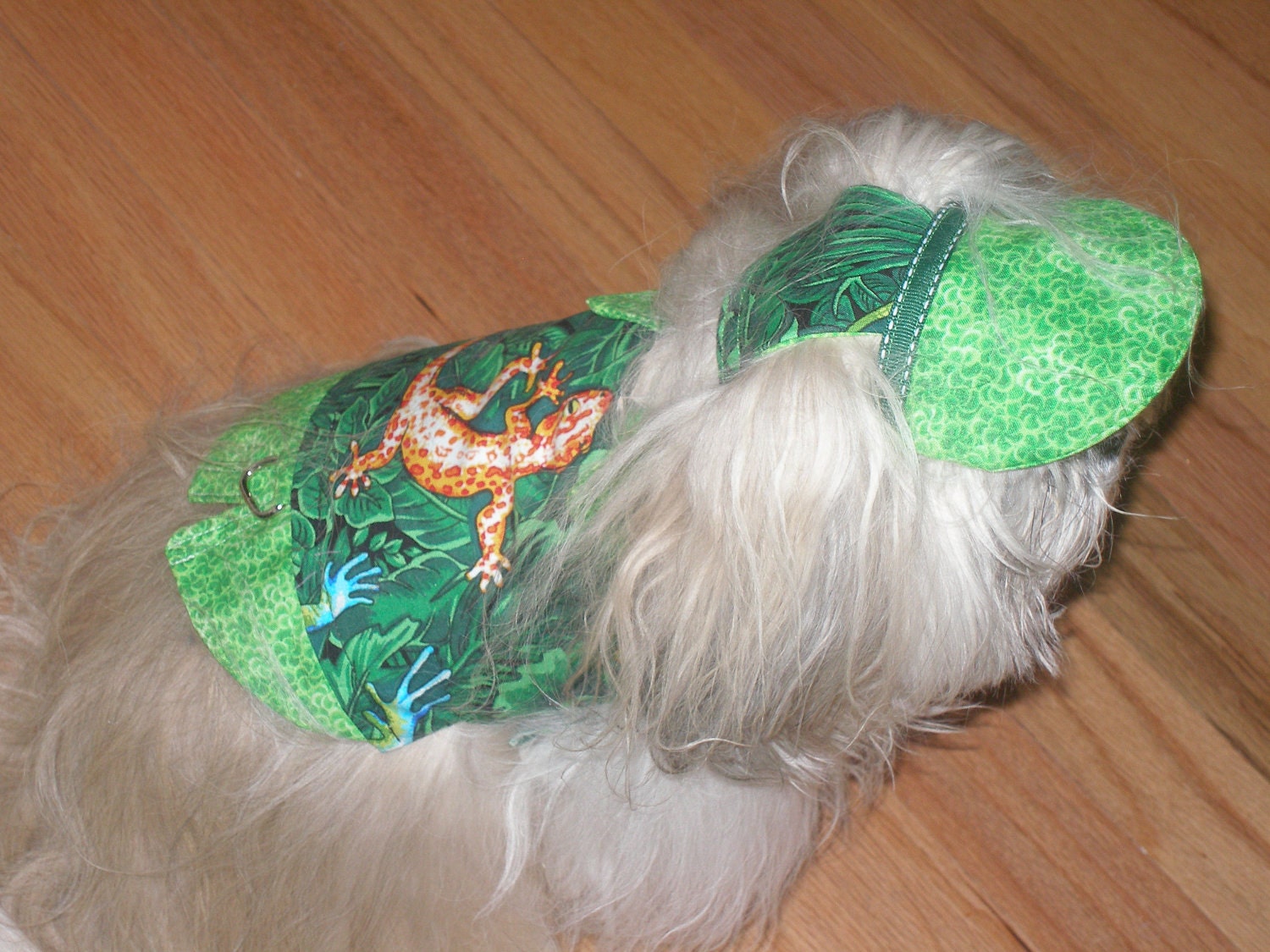 Dog Harness VEST And HAT Combo - MANY Fabrics - 2 to 15 lb dogs