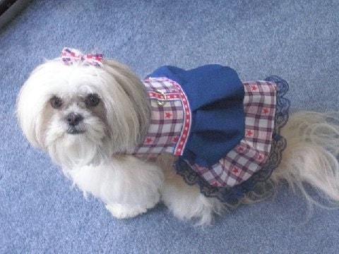 AMERICAN SWEETHEART - 4th of July Harness dress -Made to order - 2 to 15 lb dogs