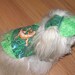 Custom BOY Dog Harness Vest and hat - SKIPS, DRAGONS, FLAMEs - Choose- Made to order - 2 to 15 lbs