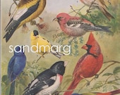1944 Birds Color Lithograph Sparrows and Their Allies George Miksch Sutton