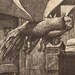 1968 Cat Bat  Modern Beast  Domenico Gnoli Illustration