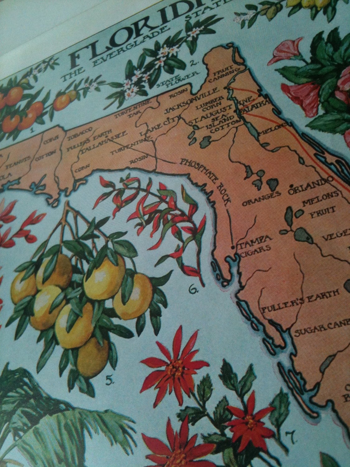 1912 vintage FLORIDA illustrated map  - colorful and lovely