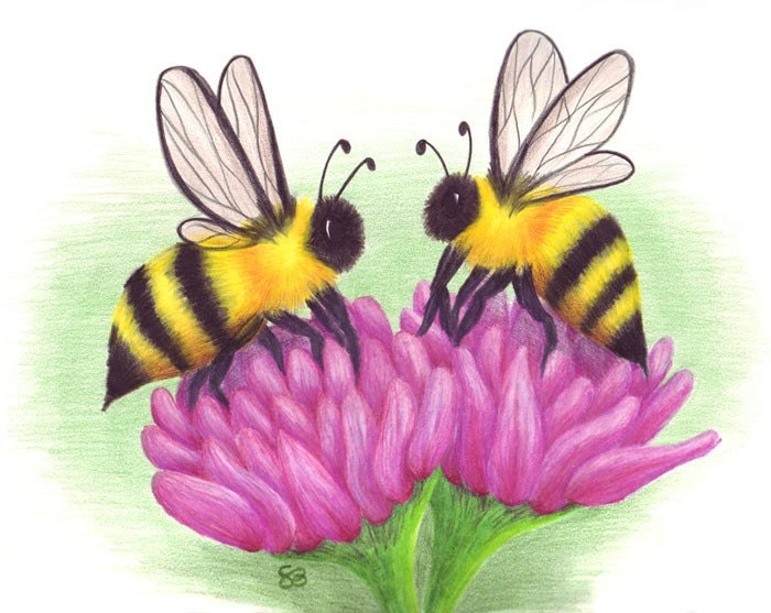 Bees In Love 8x10 Print