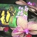 Swallowtail Summer ACEO limited edition of 30