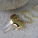 Sharks Tooth Gold Necklace, Beach Jewelry, Nautical Necklace, Nautical Jewelry, Beach, Fashion