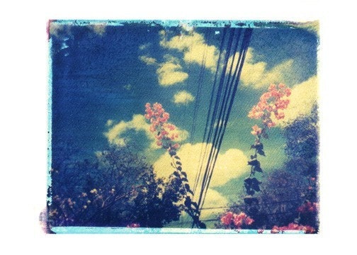 Polaroid Photography Flowers Clouds Blue Pink Vintage Art 8x10 Print