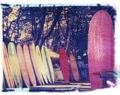 Polaroid Surfboards Surfing Ocean Beach Art Vintage Photography 11x14 Print