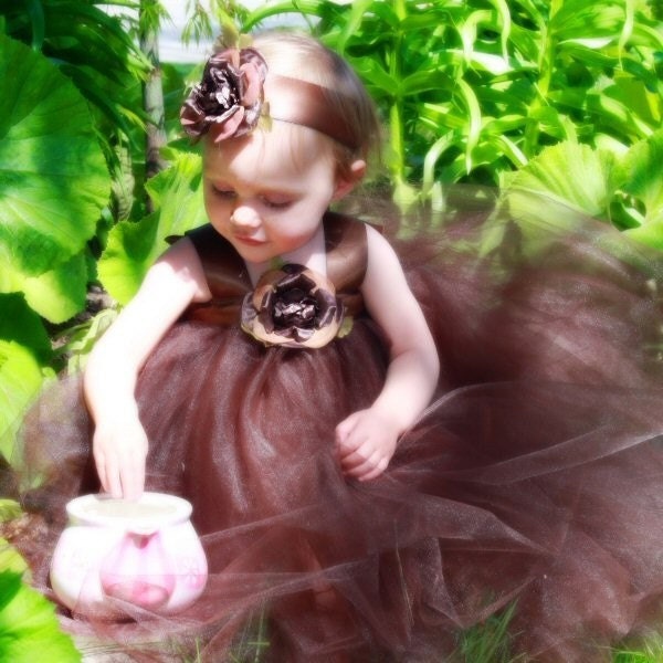 Chocolate Brown Fairy Princess Gown Flower Girl Tutu Dress Halloween Costume 2-pc Set