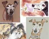 Sue Bero's Dog Art Notecards Set of 4 Sue Monahan Seniors