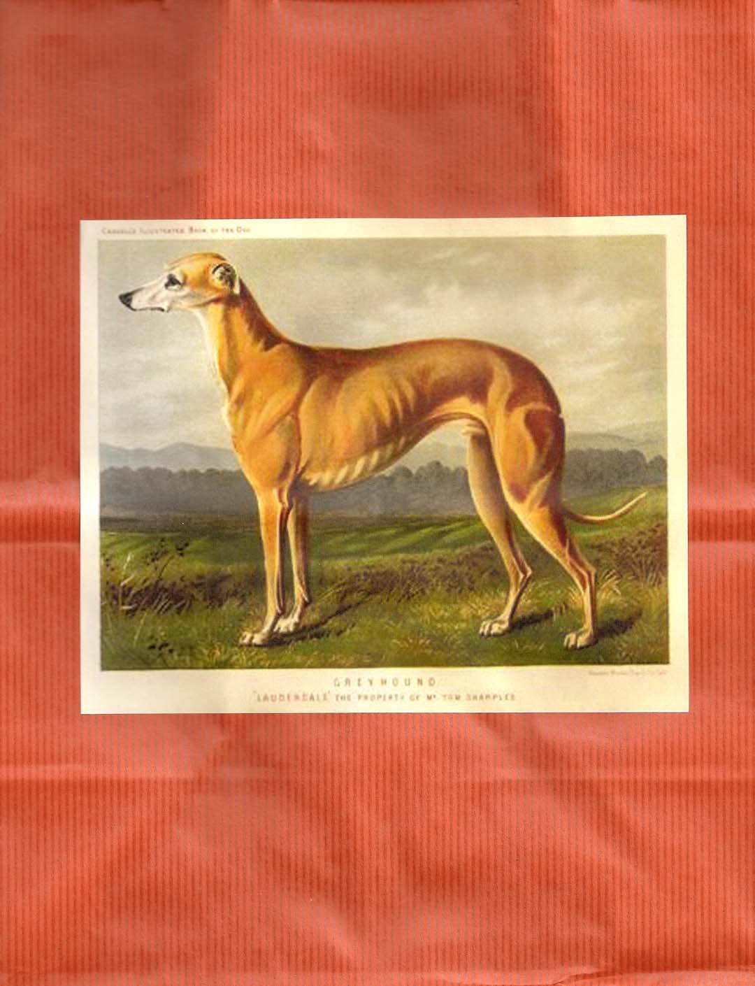 SueBero Fawn Greyhound Dog Vintage Art on Terra Cotta Gift Bag Set
