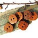 Wood Buttons Reclaimed Wormy Chestnut Handmade Wooden Buttons Set of 6 by Hendywood