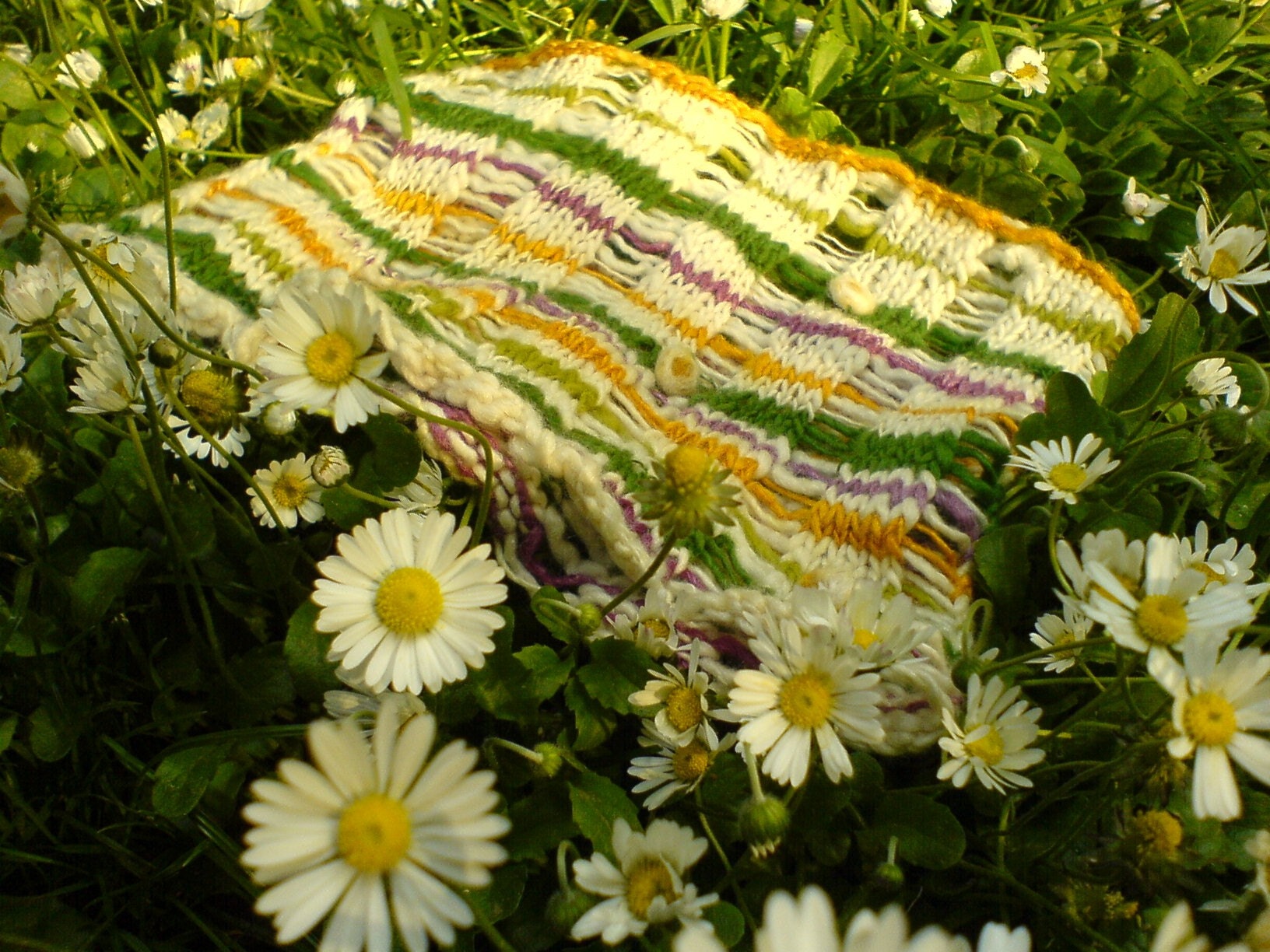 Pink Daisy - Neck Tube 