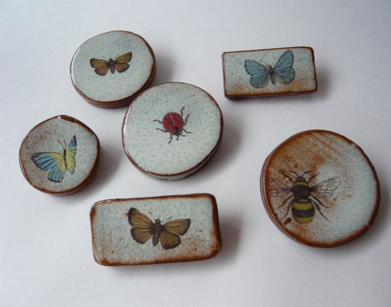 Insect Brooches