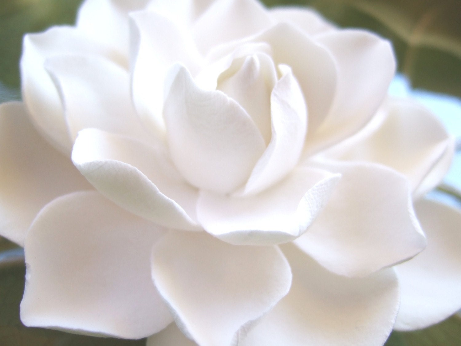 Magnolia Hair Clip,  White Clay Hair Flower Made to Order - PetalByPetal