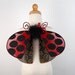 Child Fairy Wings - Ladybug / Ladybird - Perfect for fairy costume, Halloween costume