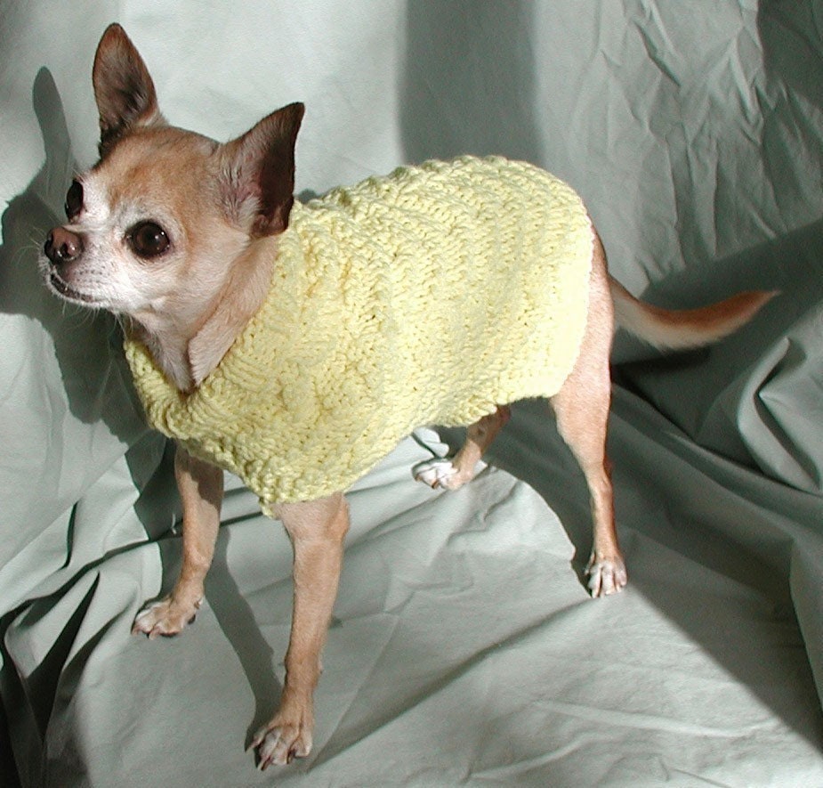 Immediate Download - PDF Knitting Pattern -Elegant Reversible Dog Sweater
