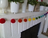 Happy Lucky Rainbow -  Pom Pom Garland